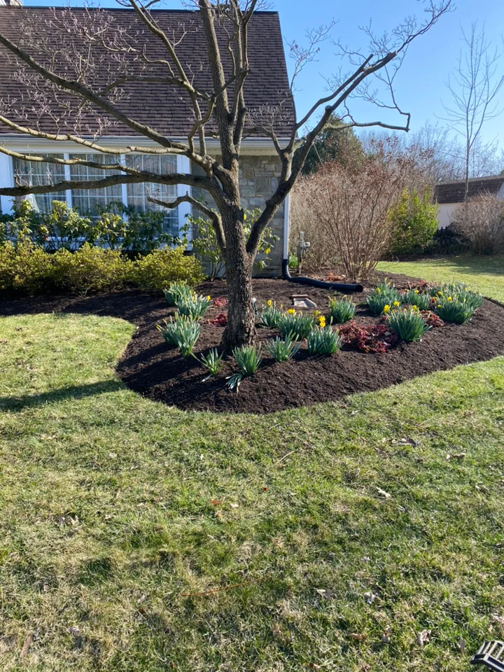 Landscaping service