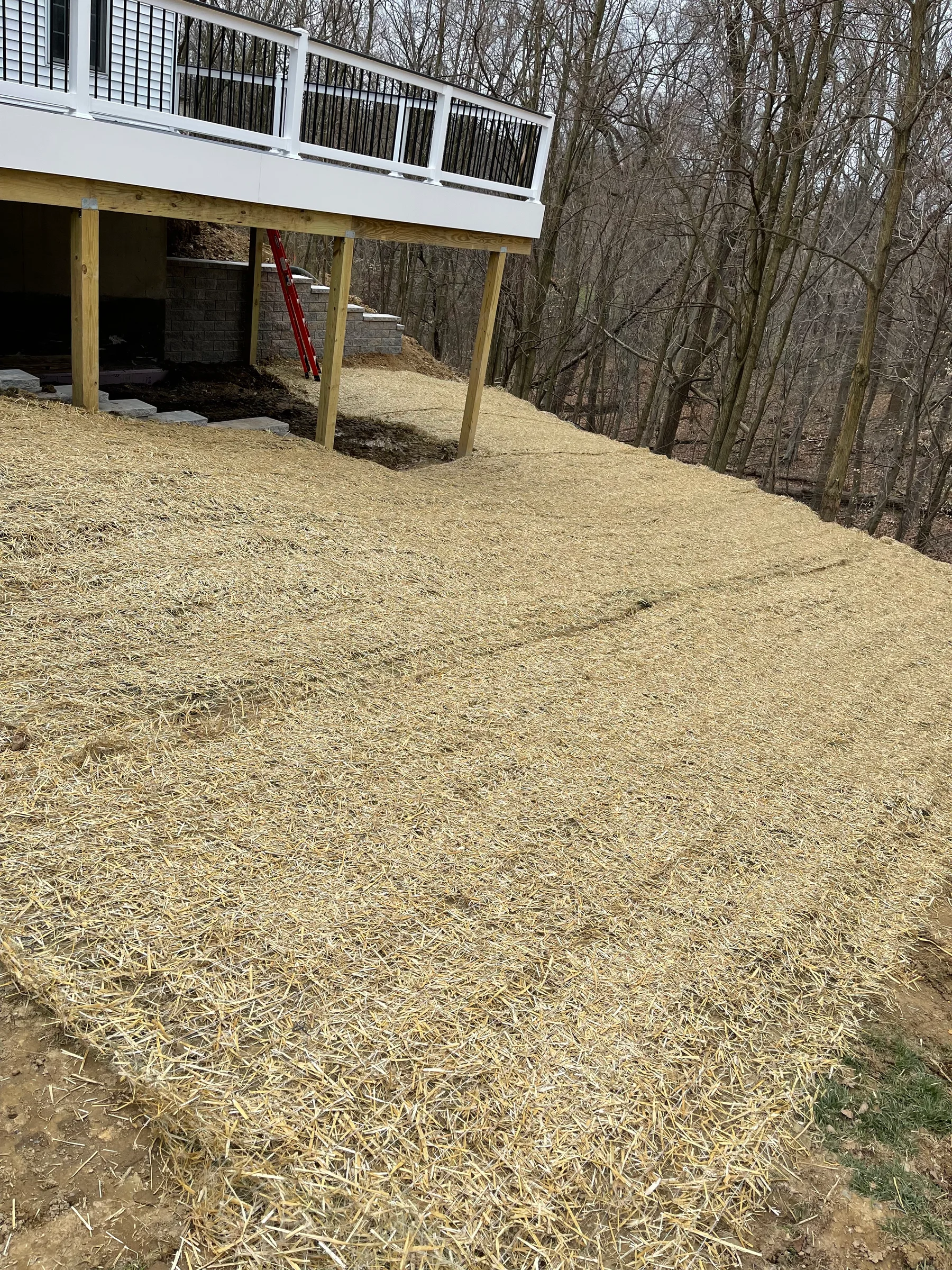 Landscape beds and property cleanup